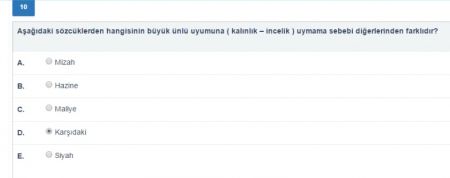 Türk Dili Dersi Vize Soruları - Bahar Dönemi
