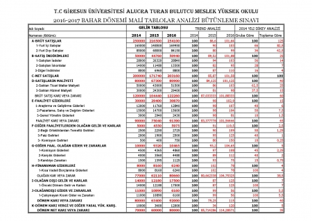 Mali Tablolar Analizi Dersi Bütünleme Soruları ve Cevapları