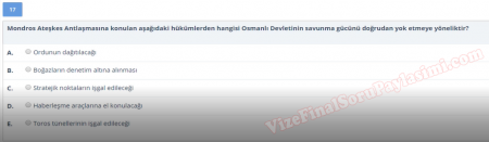 Atatürk İlkeleri ve İnkılap Tarihi Vize Soruları -  Yaz Okulu