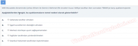 Atatürk İlkeleri ve İnkılap Tarihi Vize Soruları -  Yaz Okulu
