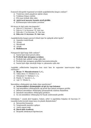 Nöroloji Sınav Soruları