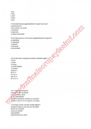 Histoloji Sınav Soruları