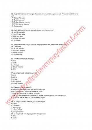 Histoloji Sınav Soruları