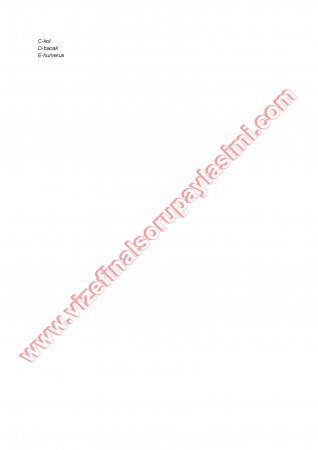 Histoloji Sınav Soruları