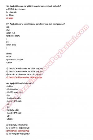 Wep Tasarımı Final Çalışma Soruları ve Cevapları