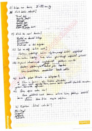 Endodontiye Giriş Çalışma Soruları