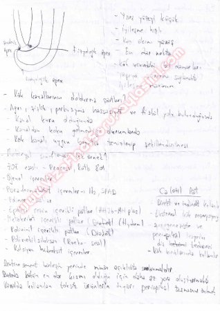 Endodontiye Giriş Çalışma Soruları