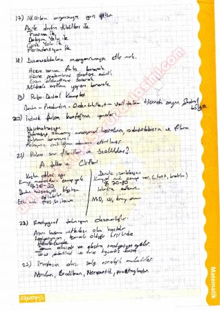 Endodontiye Giriş Çalışma Soruları