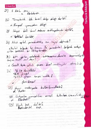 Endodontiye Giriş Çalışma Soruları