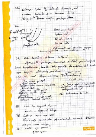 Endodontiye Giriş Çalışma Soruları