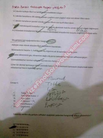 Endodontiye Giriş Çıkmış Sorular