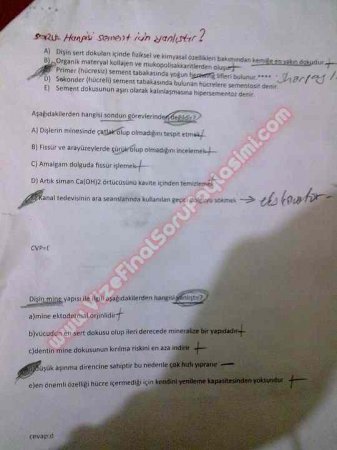 Endodontiye Giriş Çıkmış Sorular