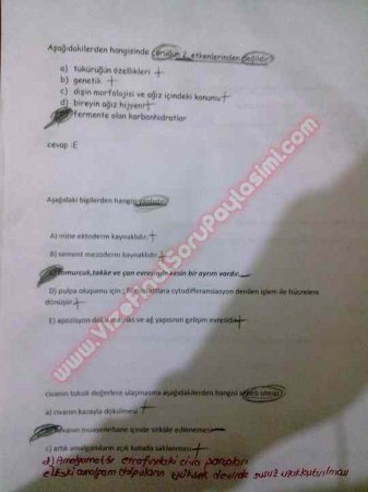 Endodontiye Giriş Çıkmış Sorular