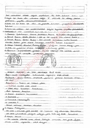 Protetik Diş Tedavisi Çalışma Soruları