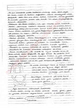 Protetik Diş Tedavisi Çalışma Soruları