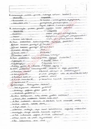 Protetik Diş Tedavisi Çalışma Soruları