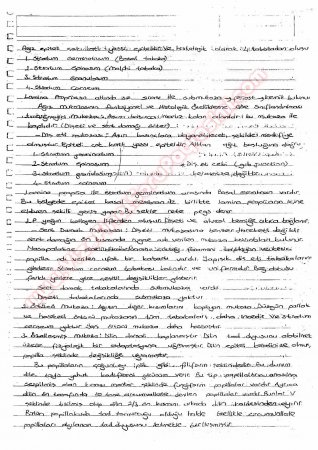 Protetik Diş Tedavisi Çalışma Soruları