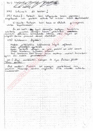 Protetik Diş Tedavisi 1.Vize Soruları