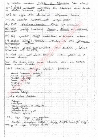 Protetik Diş Tedavisi 1.Vize Soruları